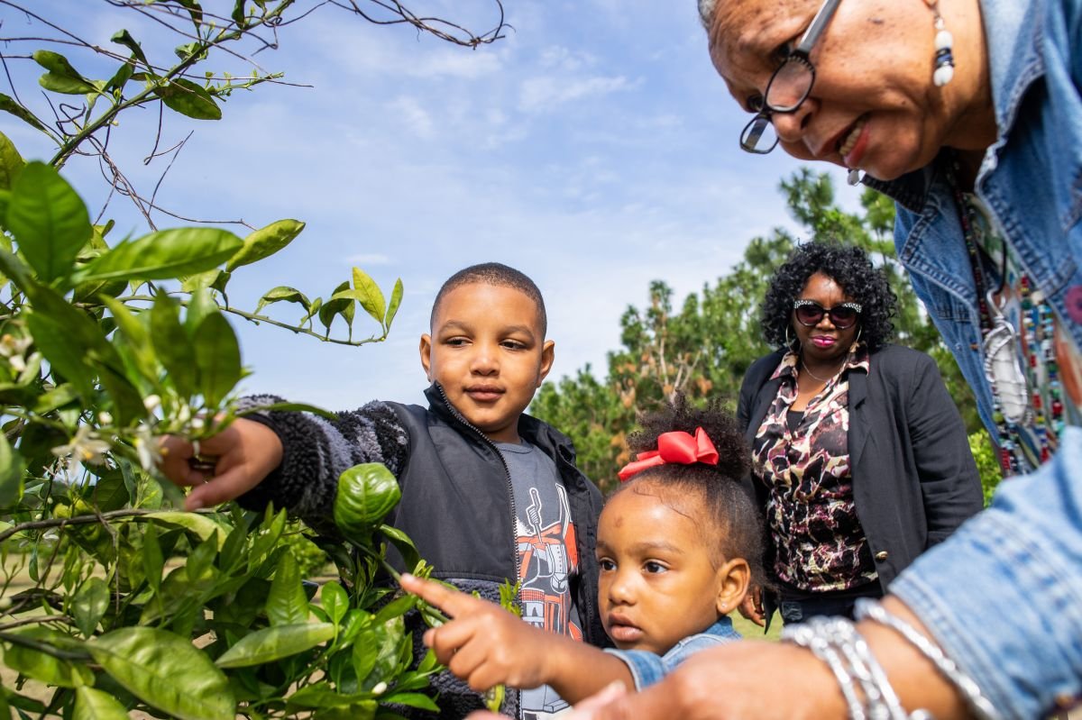 Family exploring a garden together